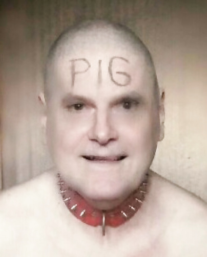 Gay toilet slave public face pic