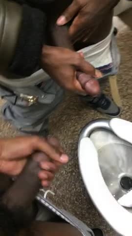 I found a friend in the bathroom