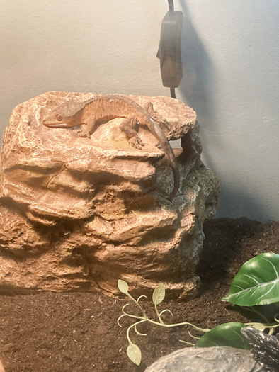 Just a lot of my every day life