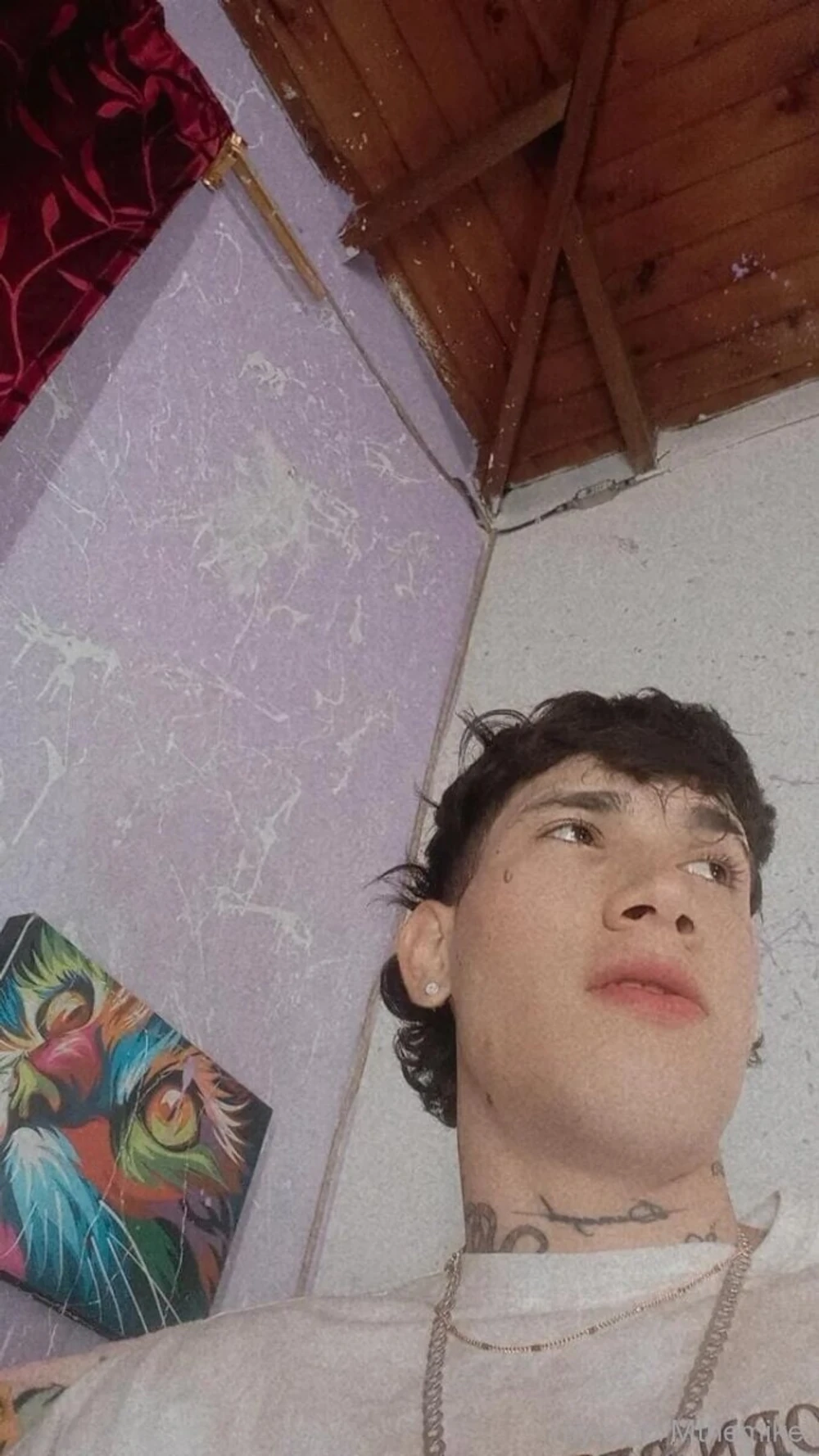 Mike williams free photos: 10 nude pics