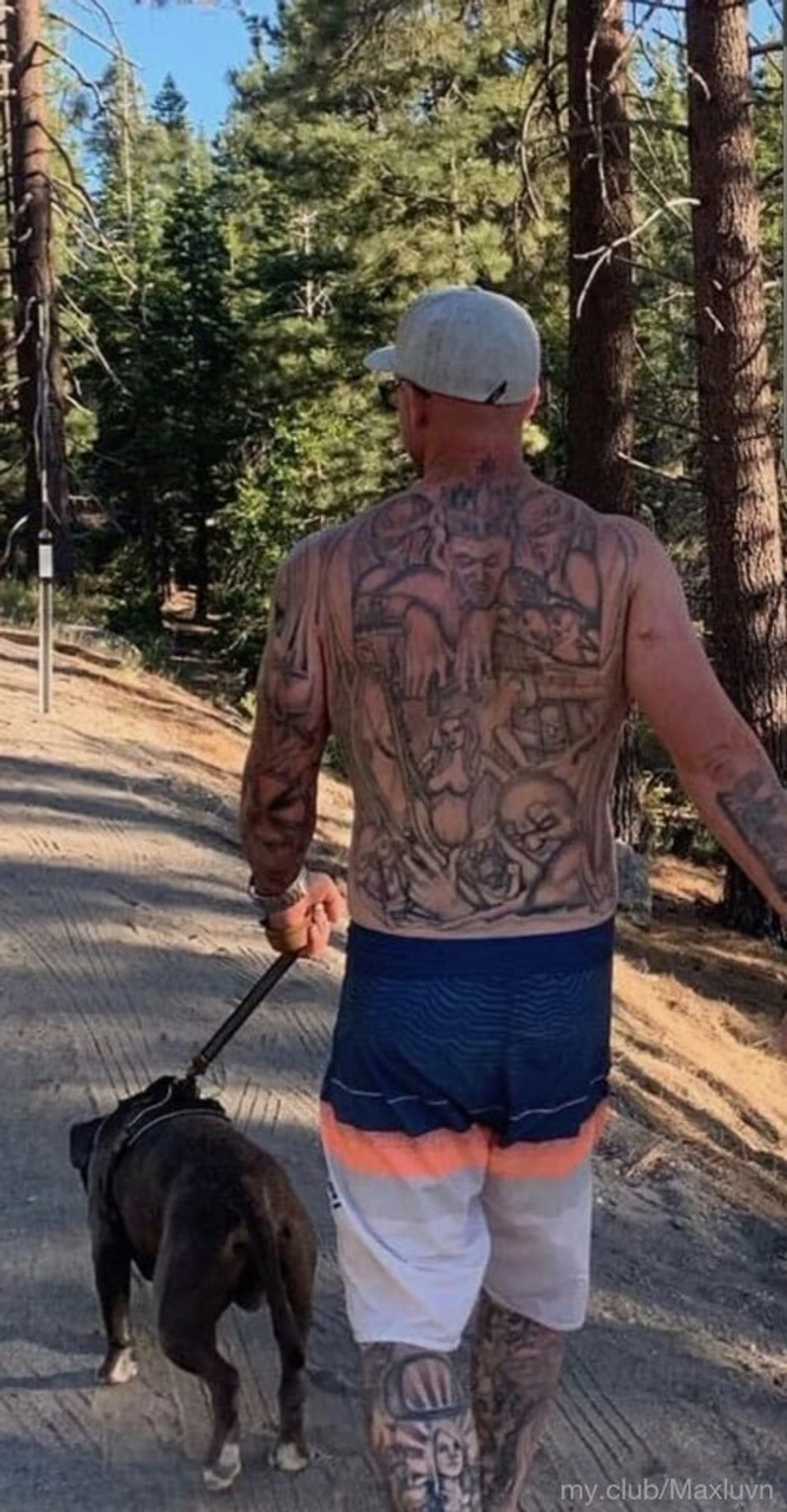 Maxluvn free photos: 6 nude pics