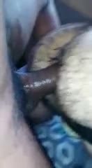 Huge latin cock bumping a huge ass hairy bear