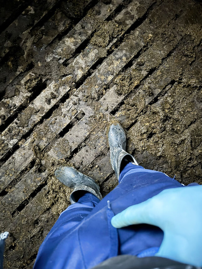 Nice farmer love jerking off